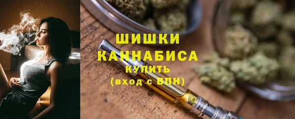 прущие грибы Аркадак