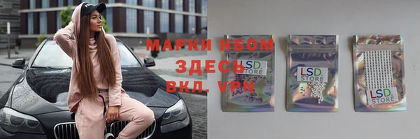 прущие грибы Аркадак