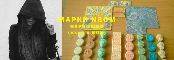 прущие грибы Аркадак