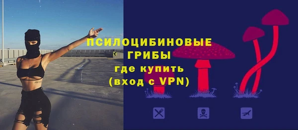 прущие грибы Аркадак