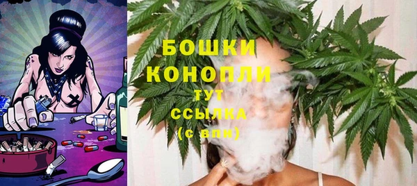 прущие грибы Аркадак