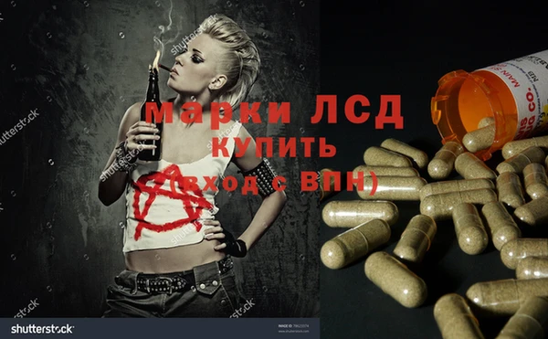 прущие грибы Аркадак