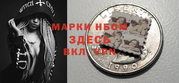 прущие грибы Аркадак