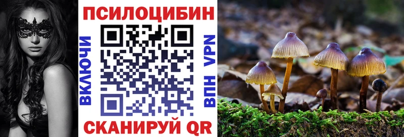 даркнет сайт  Палласовка  Галлюциногенные грибы Psilocybine cubensis 